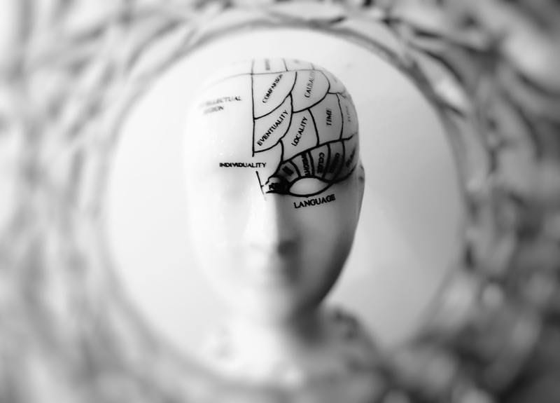 Learn the Six Predictors of Resilience